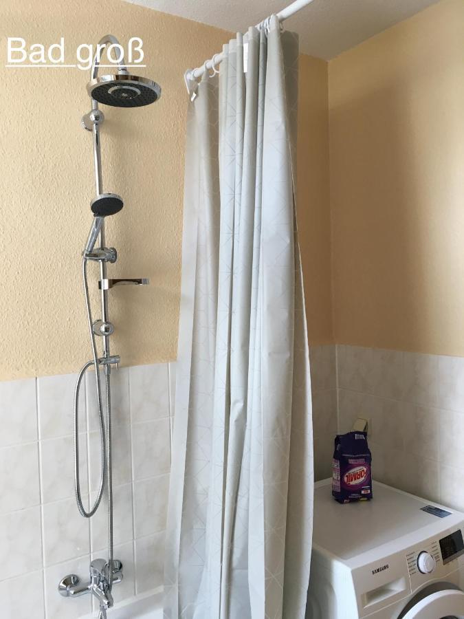 Ferienwohnung Riena Riesa Bagian luar foto